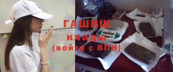 стаф Ладушкин
