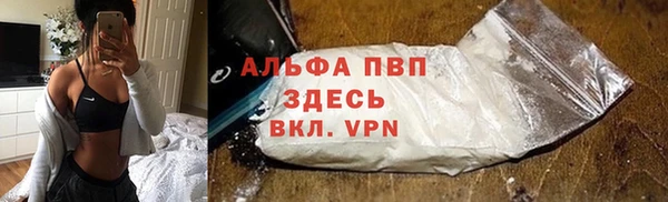 стаф Ладушкин