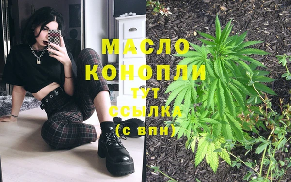 ГАЛЛЮЦИНОГЕННЫЕ ГРИБЫ Лагань