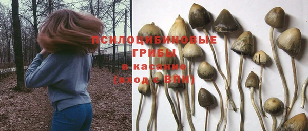 мет Лабытнанги