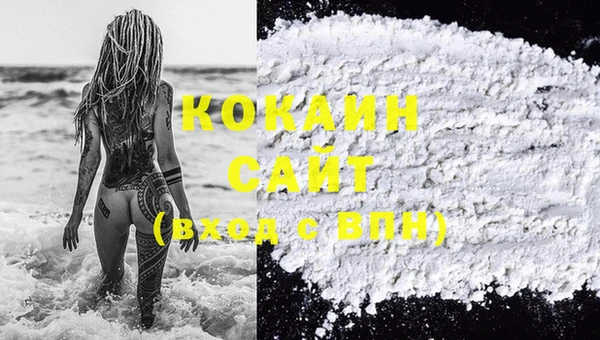стаф Ладушкин