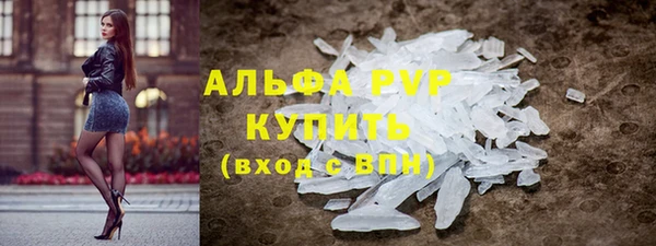 стаф Ладушкин