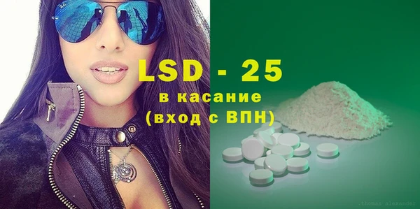стаф Ладушкин