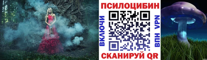 Псилоцибиновые грибы мицелий  где купить наркоту  Заозёрск 